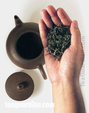 infuse tea