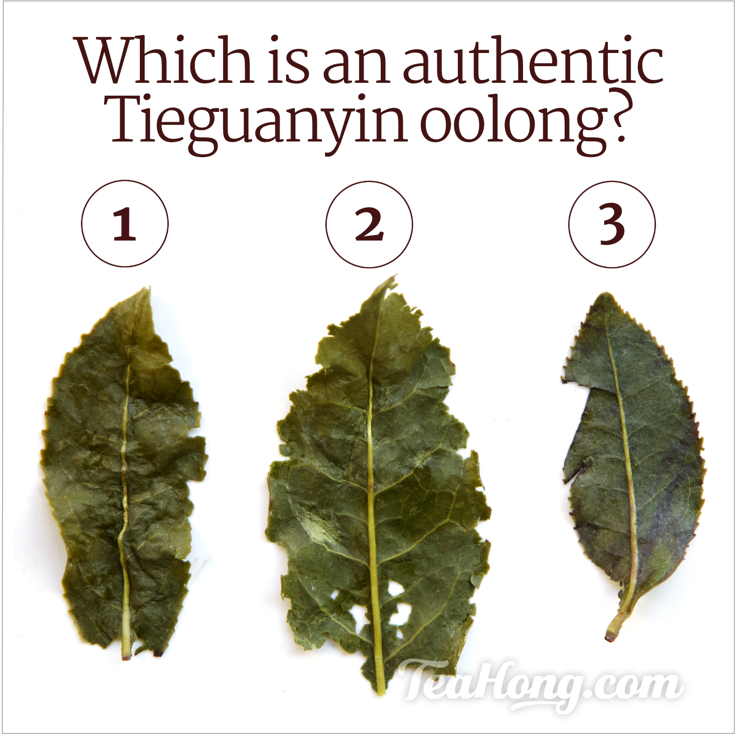 Three different infused Tieguanyin tealeaves — which is from a genuine Tieguanyin oolong?